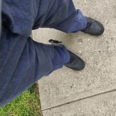 White-breasted Nuthatch